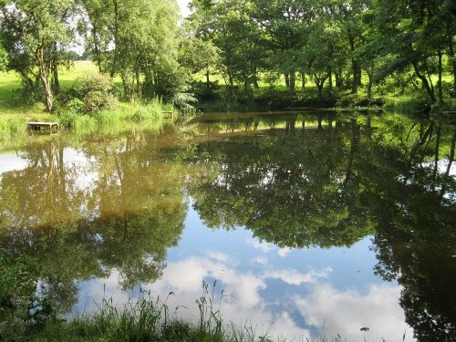 Explore Nature at Gawthorpe Hall 