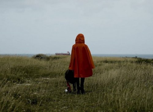Wayfinder