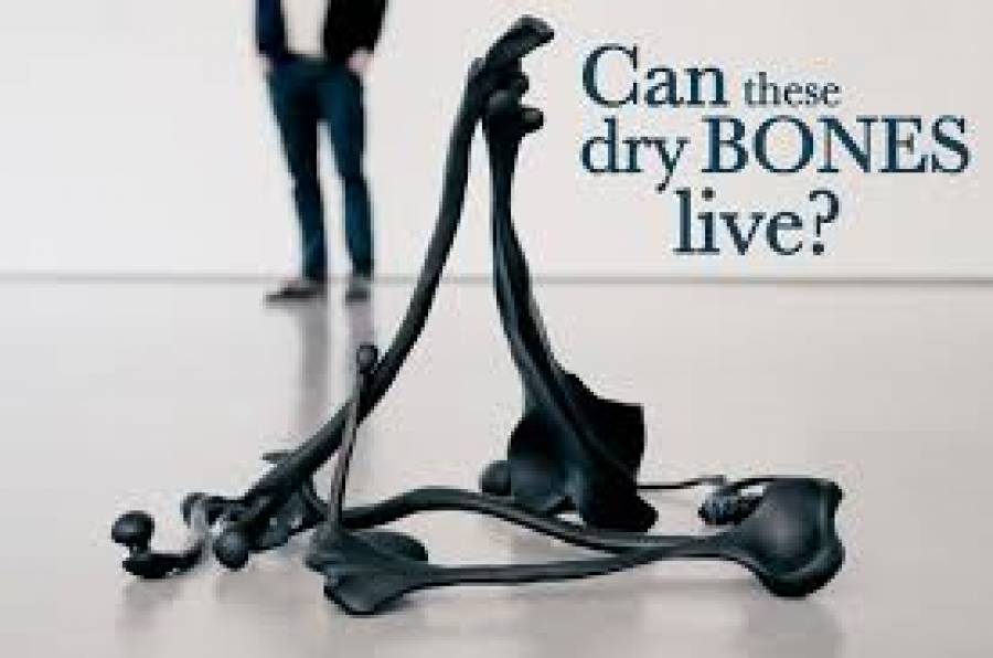 Can These Dry Bones Live? Art Exhibition- UCLAN -  9am - 6pm - 29/10/18 - 9/11/18