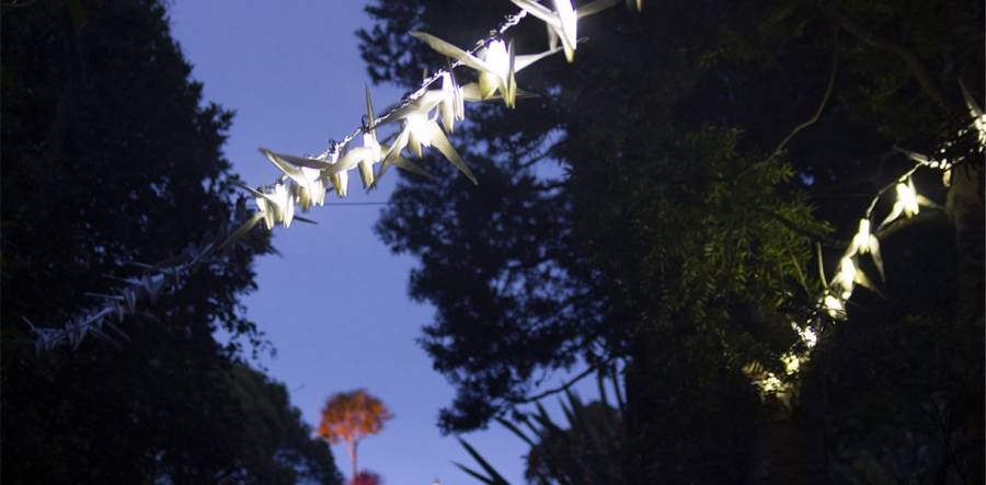 Luminous Birds - Avenham And Miller Parks -5pm- 1200am-  20/12/19 - 19/01/20