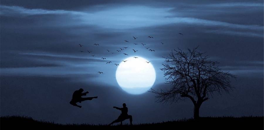 Introduction To Chinese Martial Arts- Harris Museum - Preston - 11.30am - 12.15pm - 18/02/20